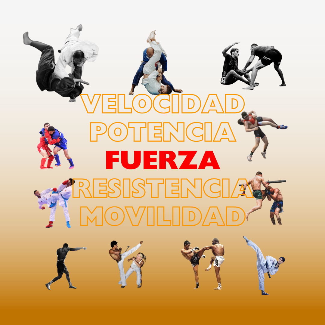 Banda para entrenamiento funcional